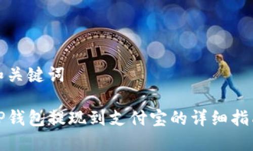 和关键词

TP钱包提现到支付宝的详细指南
