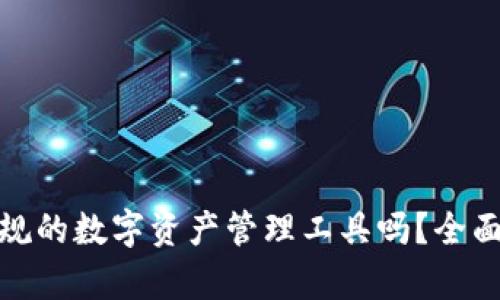 TP钱包是正规的数字资产管理工具吗？全面分析与评测