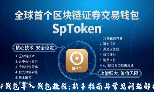 
TP钱包导入钱包教程：新手指南与常见问题解析
