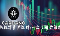 TP钱包最适合的数字资产选