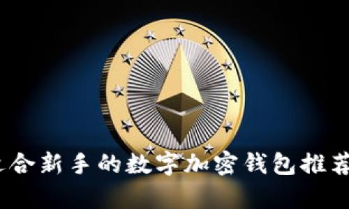 全面评测：适合新手的数字加密钱包推荐与优势分析