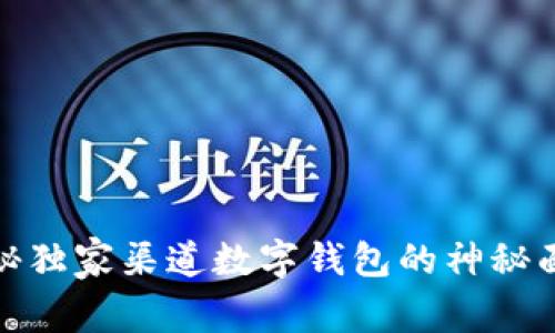 揭秘独家渠道数字钱包的神秘面纱