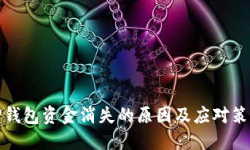 TP钱包资金消失的原因及应对策略