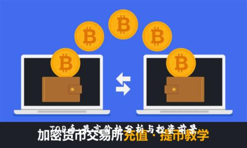 TOP币：最高价格分析与投资前景