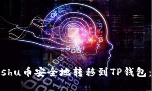 如何将Kishu币安全地转移到TP钱包：详细指南