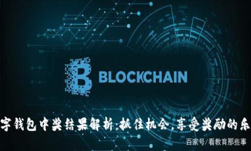 数字钱包中奖结果解析：抓住机会，享受奖励的乐趣