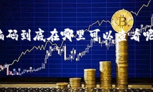 在数字货币的世界里，找到你的钱包编码（或地址）是进行交易、接收资金以及管理资产的重要一步。那么，数字货币钱包编码到底在哪里可以查看呢？在这篇文章中，我们将深入探讨这一问题，并提供一些简单易懂的步骤和建议，帮助你轻松找到你的数字货币钱包编码。

如何轻松找到你的数字货币钱包编码