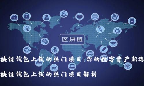 区块链钱包上线的热门项目:你的数字资产新选择
区块链钱包上线的热门项目解析