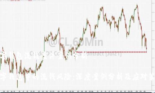 数字钱包洗钱案件案例分析

数字钱包中的洗钱风险：深度案例分析及应对策略