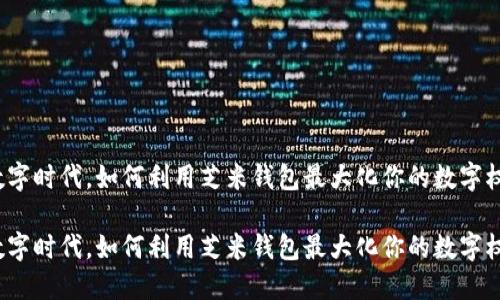 在数字时代，如何利用芝米钱包最大化你的数字权益？

在数字时代，如何利用芝米钱包最大化你的数字权益？