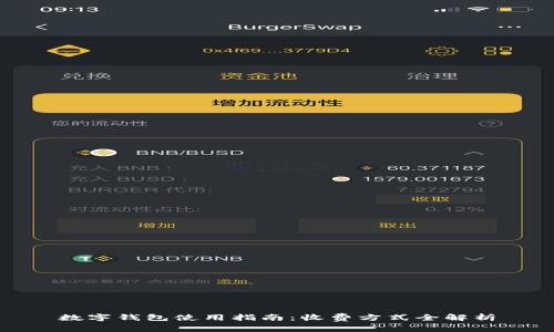 数字钱包使用指南：收费方式全解析