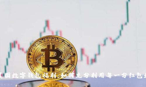 解锁美团数字钱包福利：如何充分利用每一分红包和优惠