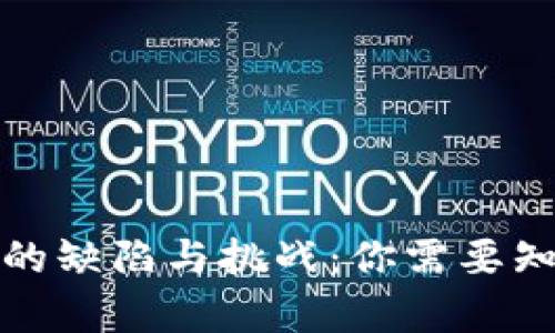 数字钱包的缺陷与挑战：你需要知道的真相