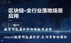 数字钱包在长沙的崛起与