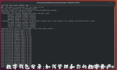 数字钱包分录：如何管理