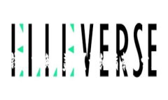 如何在TP钱包中换取美元？