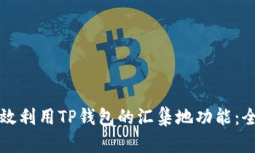 如何有效利用TP钱包的汇集地功能：全面指南