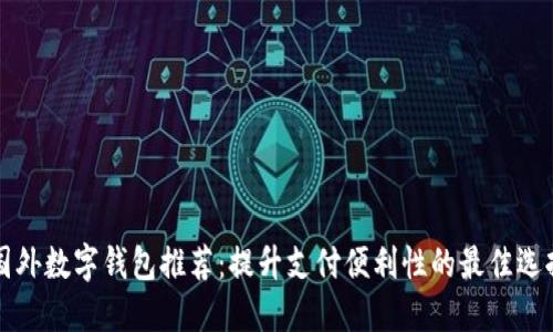 国外数字钱包推荐：提升支付便利性的最佳选择