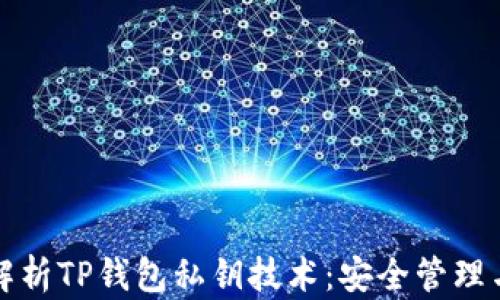 
深入解析TP钱包私钥技术：安全管理与策略