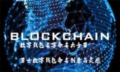 数字钱包名字命名大全男