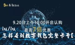 lu/lu  怎样看到数字钱包完