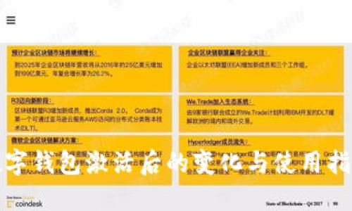 数字钱包激活后的变化与使用指南