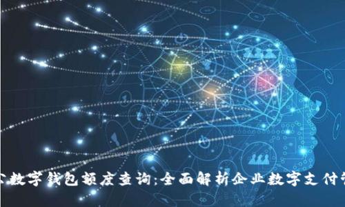 对公数字钱包额度查询：全面解析企业数字支付管理