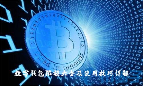 数字钱包限额大全及使用技巧详解
