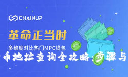 TP钱包持币地址查询全攻略：步骤与技巧详解