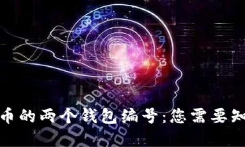 数字人民币的两个钱包编号：您需要知道的一切