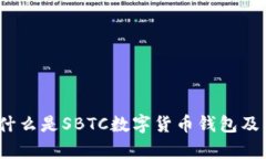 全面解析：什么是SBTC数字