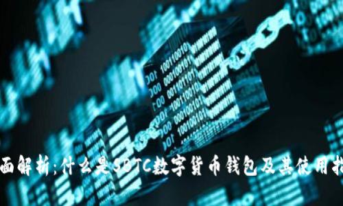 全面解析：什么是SBTC数字货币钱包及其使用指南