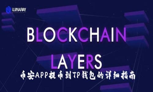 币安APP提币到TP钱包的详细指南